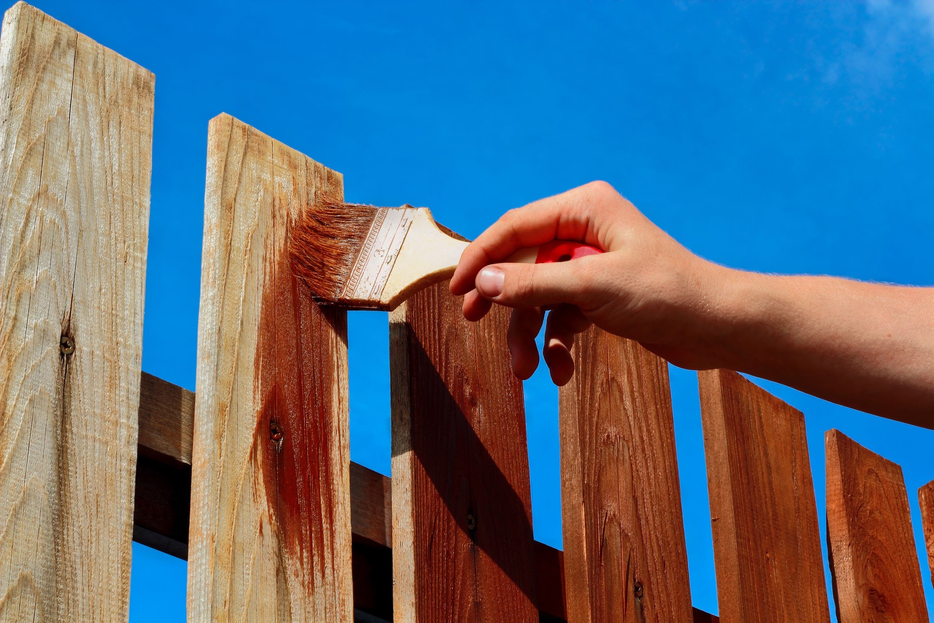 Painting wooden fence